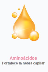 nueva4.png